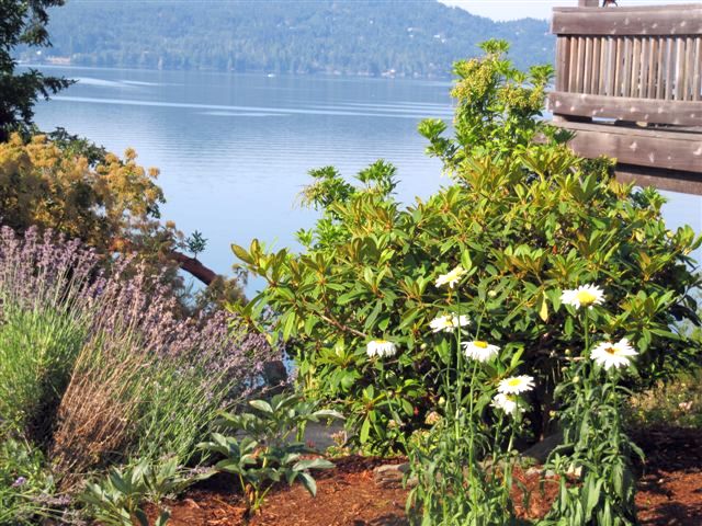 view of gardens and Sooke basin